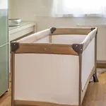 Grace Pine 1 Apartment *